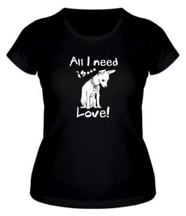 Женская футболка All i need is love 