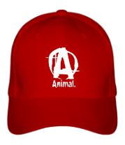 Бейсболка Animal фото