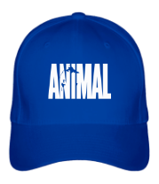 Бейсболка Animal main logo фото