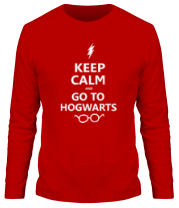 Мужская футболка длинный рукав Keep calm and go to hogwarts. фото