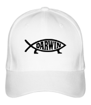 Бейсболка Darvin - рыбка фото
