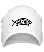 Шапка Darvin - рыбка фото