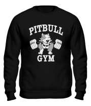 Толстовка без капюшона Pitbull gym (для темных основ) фото