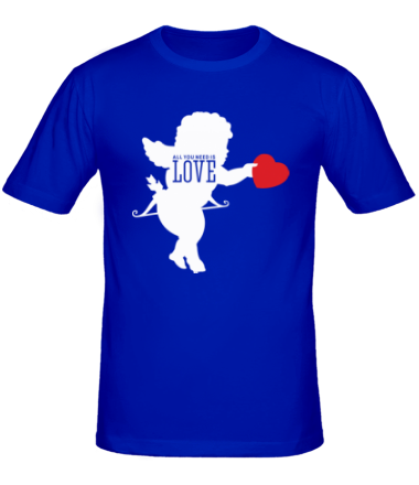 Мужская футболка All you need is love