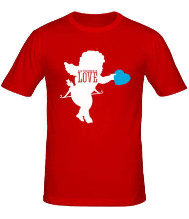 Мужская футболка All you need is love