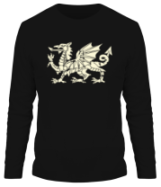 Мужская футболка длинный рукав Мифический дракон (свет) фото