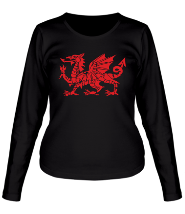 Женская футболка длинный рукав Мифический дракон