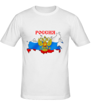Мужская футболка Россия фото
