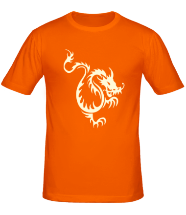 Мужская футболка Китайский водяной дракон (свет)