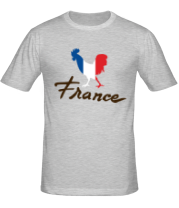 Мужская футболка Франция фото