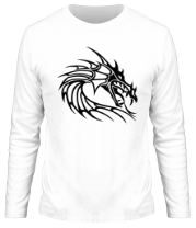 Мужская футболка длинный рукав Древний дракон фото