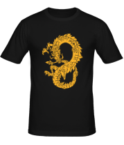 Мужская футболка Древний китайский дракон фото