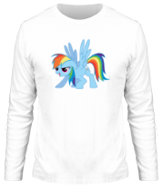 Мужская футболка длинный рукав Rainbow Dash | My little pony