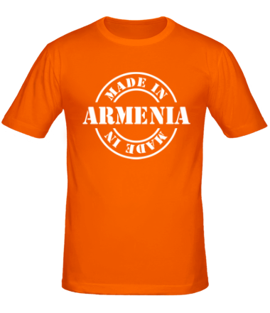 Мужская футболка Made in Armenia