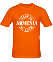 Мужская футболка Made in Armenia фото