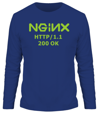 Мужская футболка длинный рукав Nginx 200 OK