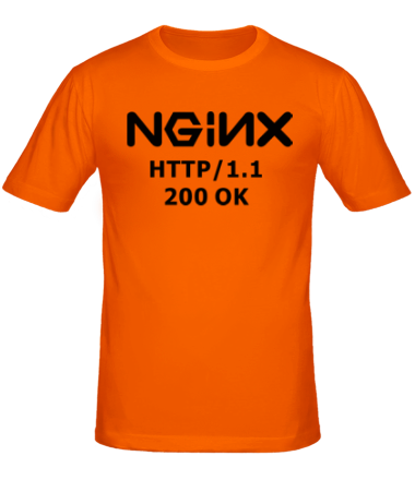 Мужская футболка Nginx 200 OK