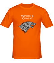 Мужская футболка Winter is coming фото