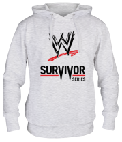 Толстовка худи WWE Survivor Series фото