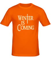 Мужская футболка Winter is coming (свет) фото