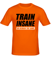 Мужская футболка Train insane or remain the same фото