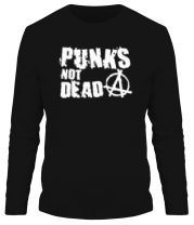 Мужская футболка длинный рукав Punks not dead фото