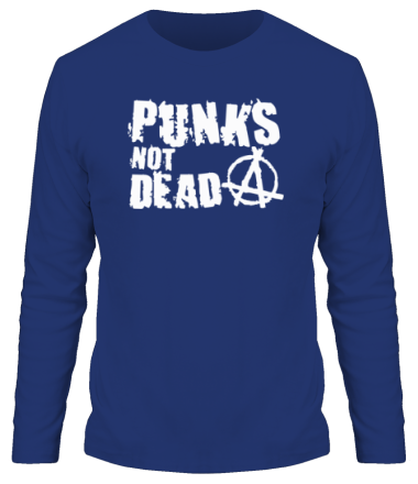 Мужская футболка длинный рукав Punks not dead