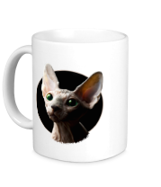 Кружка Лысая котямба фото