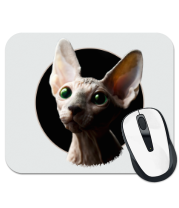 Коврик для мыши Лысая котямба фото