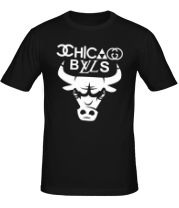 Мужская футболка Chicago Bulls fun logo фото