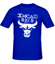 Мужская футболка Chicago Bulls fun logo фото