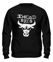 Толстовка без капюшона Chicago Bulls fun logo