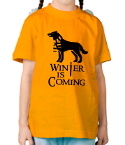 Детская футболка Winter is coming собака с шарфом фото