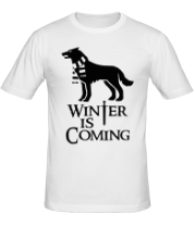 Мужская футболка Winter is coming собака с шарфом фото