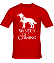 Мужская футболка Winter is coming собака с шарфом
