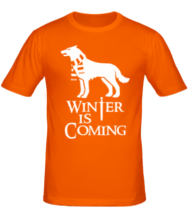 Мужская футболка Winter is coming собака с шарфом