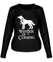 Женская футболка длинный рукав Winter is coming собака с шарфом