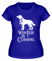 Женская футболка Winter is coming собака с шарфом фото