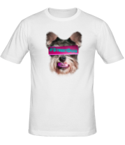 Мужская футболка Street Dog