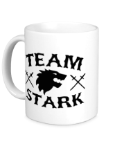 Кружка Team Stark
