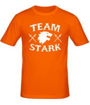 Мужская футболка Team Stark фото