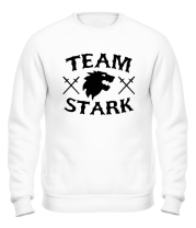 Толстовка без капюшона Team Stark фото