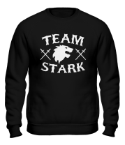 Толстовка без капюшона Team Stark