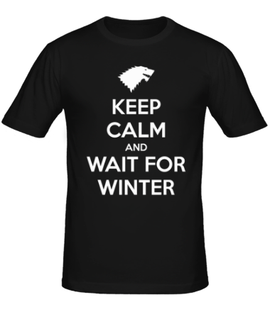 Мужская футболка Wait for winter