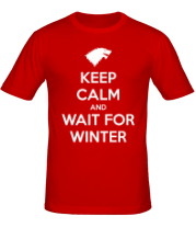 Мужская футболка Wait for winter