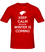 Мужская футболка Winter is coming фото