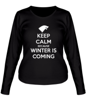 Женская футболка длинный рукав Winter is coming фото