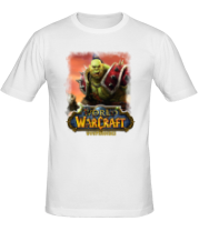 Мужская футболка World of Warcraft фото