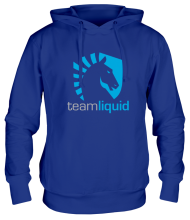 Толстовка худи Liquid Team