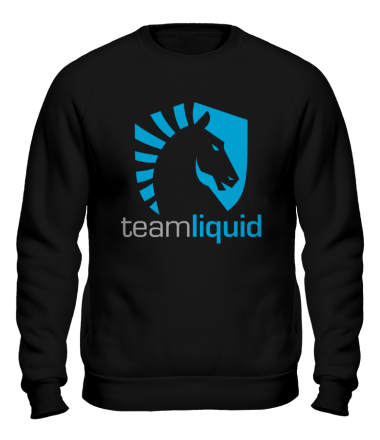 Толстовка без капюшона Liquid Team